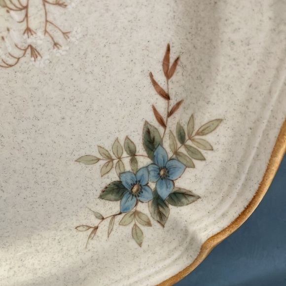 Mikasa: Garden Club DAY DREAMS (EC 461) Dinner Plates- lot of 2- 10 3/4" length - Picture 6 of 15